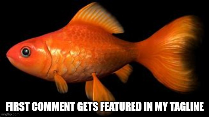 FIRST COMMENT GETS FEATURED IN MY TAGLINE | made w/ Imgflip meme maker