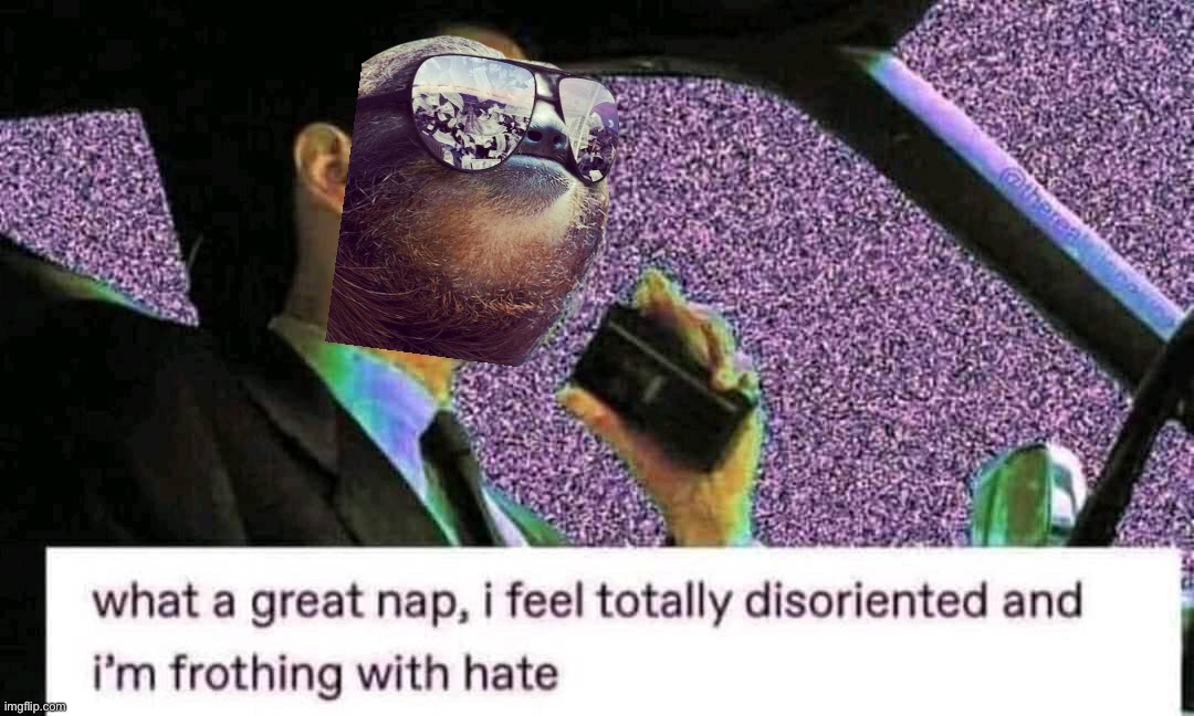Back on my grind | image tagged in what a great nap,s,l,o,t,h | made w/ Imgflip meme maker