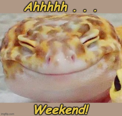 My mood in gecko | Ahhhhh . . . Weekend! | image tagged in extended happy,gecko,happy,weekend,feelings | made w/ Imgflip meme maker