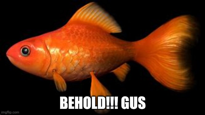 iUnFunny.co is a dumbass | BEHOLD!!! GUS | made w/ Imgflip meme maker