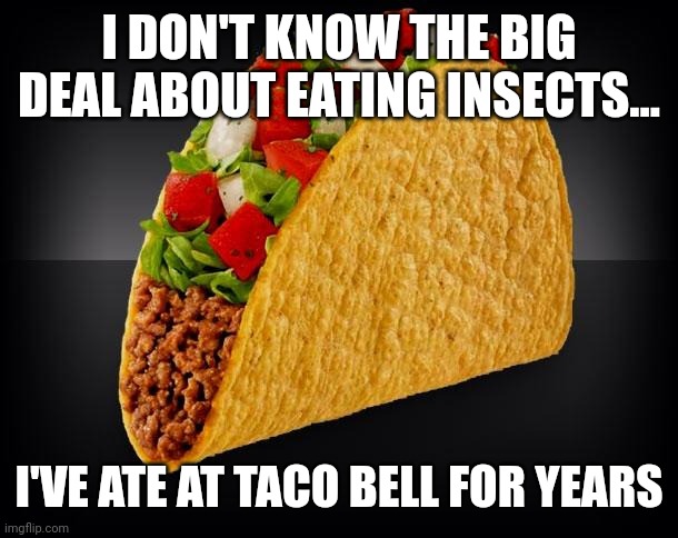 Some day We'll all be Eating Insects | I DON'T KNOW THE BIG DEAL ABOUT EATING INSECTS... I'VE ATE AT TACO BELL FOR YEARS | image tagged in taco | made w/ Imgflip meme maker