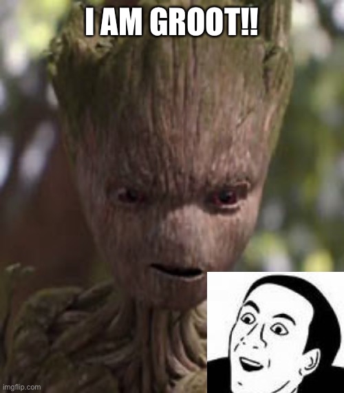 Ya don’t say | I AM GROOT!! | image tagged in i am groot | made w/ Imgflip meme maker