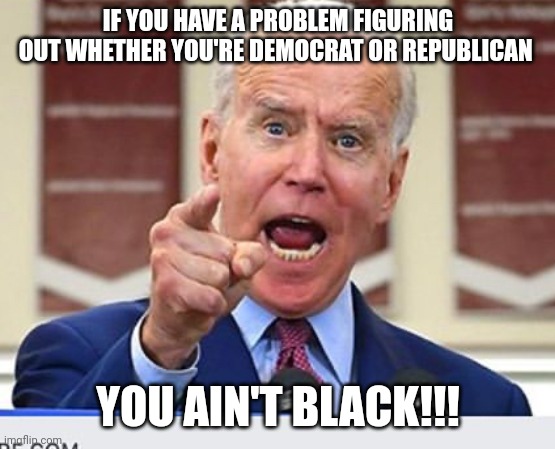 Joe Biden no malarkey | IF YOU HAVE A PROBLEM FIGURING OUT WHETHER YOU'RE DEMOCRAT OR REPUBLICAN YOU AIN'T BLACK!!! | image tagged in joe biden no malarkey | made w/ Imgflip meme maker
