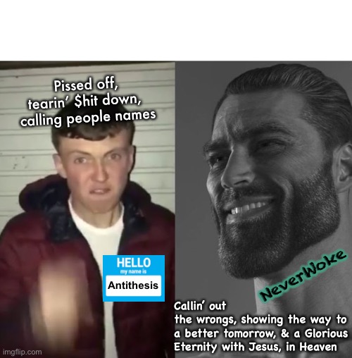 Pro-Nothin’  — I’m ANTI-MAN! | Pissed off, tearin’ $hit down, 
calling people names; NeverWoke; Antithesis; Callin’ out
the wrongs, showing the way to
a better tomorrow, & a Glorious Eternity with Jesus, in Heaven | image tagged in average fan vs average enjoyer | made w/ Imgflip meme maker