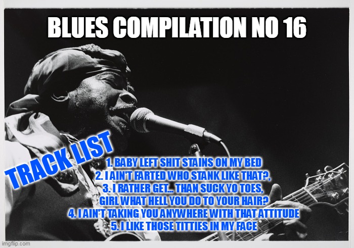 Blues compilation no 16 | BLUES COMPILATION NO 16; TRACK LIST; 1. BABY LEFT SHIT STAINS ON MY BED
2. I AIN'T FARTED WHO STANK LIKE THAT?, 
3. I RATHER GET... THAN SUCK YO TOES, 
GIRL WHAT HELL YOU DO TO YOUR HAIR?
4. I AIN'T TAKING YOU ANYWHERE WITH THAT ATTITUDE
5. I LIKE THOSE TITTIES IN MY FACE | image tagged in blues guitarist,funny,funny memes,blues,shit,titties | made w/ Imgflip meme maker