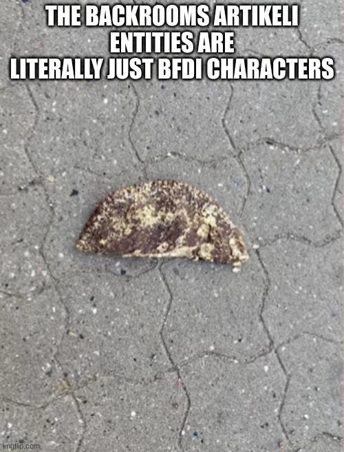 Forbidden Choco Taco | THE BACKROOMS ARTIKELI ENTITIES ARE LITERALLY JUST BFDI CHARACTERS | image tagged in forbidden choco taco | made w/ Imgflip meme maker