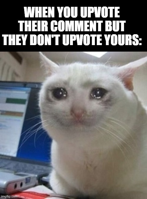:( | WHEN YOU UPVOTE THEIR COMMENT BUT THEY DON'T UPVOTE YOURS: | image tagged in crying cat | made w/ Imgflip meme maker