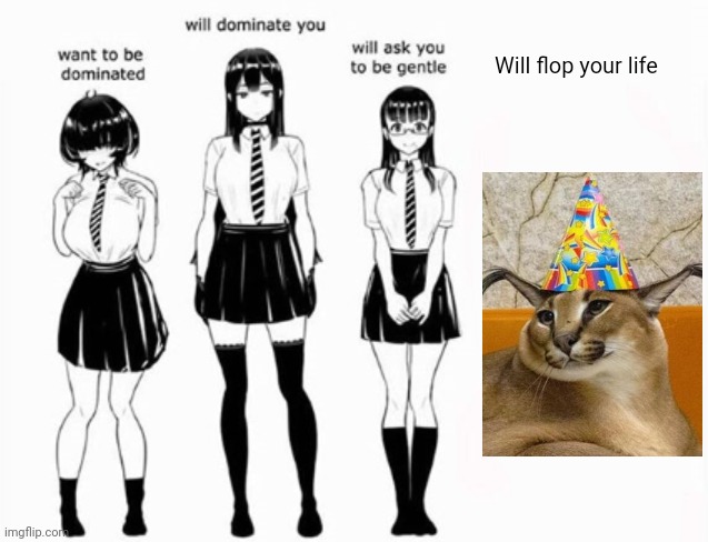 Domination stats | Will flop your life | image tagged in domination stats | made w/ Imgflip meme maker