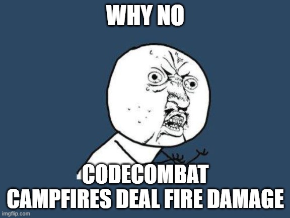 Why you no | WHY NO; CODECOMBAT CAMPFIRES DEAL FIRE DAMAGE | image tagged in why you no | made w/ Imgflip meme maker