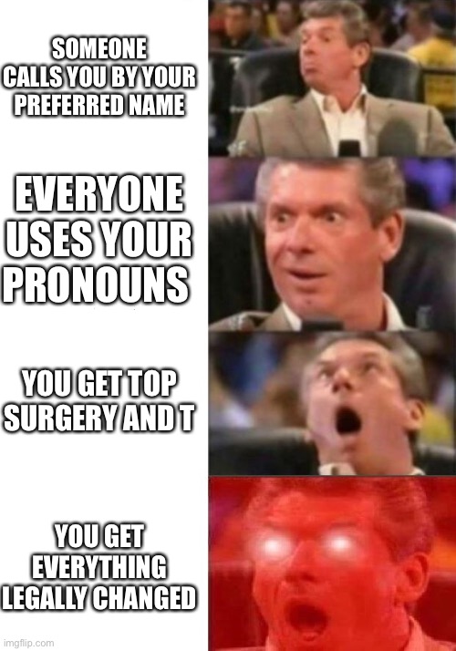 Mr. McMahon reaction | SOMEONE CALLS YOU BY YOUR PREFERRED NAME; EVERYONE USES YOUR PRONOUNS; YOU GET TOP SURGERY AND T; YOU GET EVERYTHING LEGALLY CHANGED | image tagged in mr mcmahon reaction | made w/ Imgflip meme maker