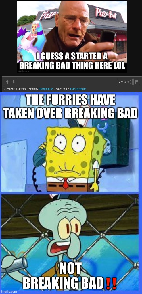 THE FURRIES HAVE TAKEN OVER BREAKING BAD; NOT BREAKING BAD‼️ | image tagged in no not the navy | made w/ Imgflip meme maker