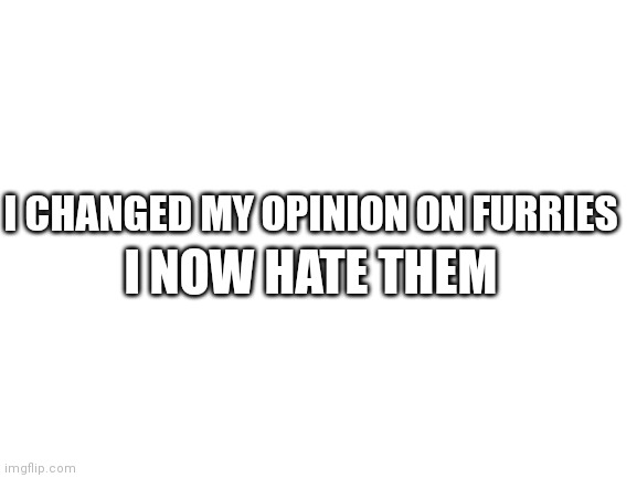 YKW? | I NOW HATE THEM; I CHANGED MY OPINION ON FURRIES | image tagged in blank white template,anti furry | made w/ Imgflip meme maker