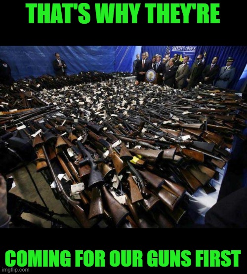 gun control | THAT'S WHY THEY'RE COMING FOR OUR GUNS FIRST | image tagged in gun control | made w/ Imgflip meme maker