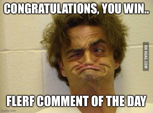 Flerfer | CONGRATULATIONS, YOU WIN.. FLERF COMMENT OF THE DAY | image tagged in flat earth | made w/ Imgflip meme maker