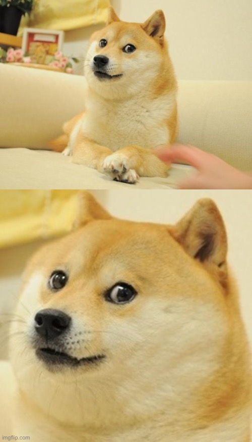 image tagged in memes,doge 2,doge | made w/ Imgflip meme maker