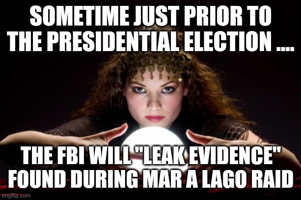 Just in time not to be verified .... |  SOMETIME JUST PRIOR TO THE PRESIDENTIAL ELECTION .... THE FBI WILL "LEAK EVIDENCE" FOUND DURING MAR A LAGO RAID | image tagged in fortune teller | made w/ Imgflip meme maker