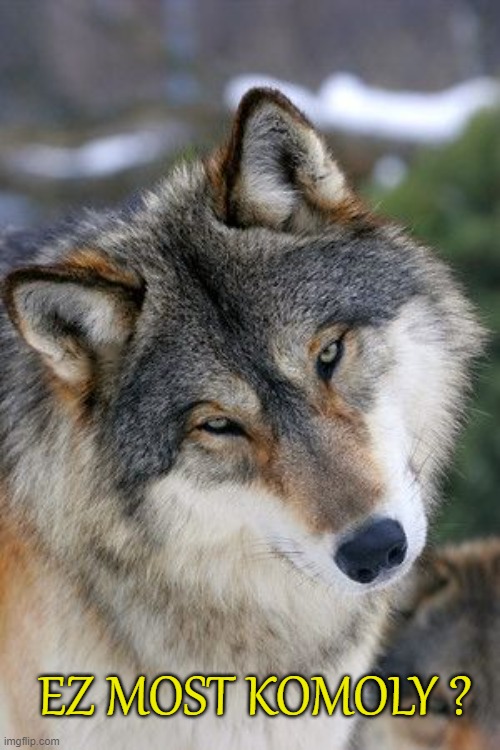 EZ MOST KOMOLY ? | made w/ Imgflip meme maker