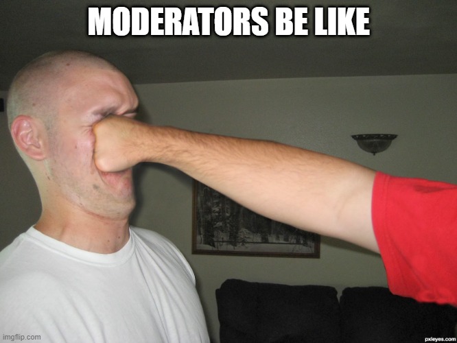 Face punch | MODERATORS BE LIKE | image tagged in face punch | made w/ Imgflip meme maker