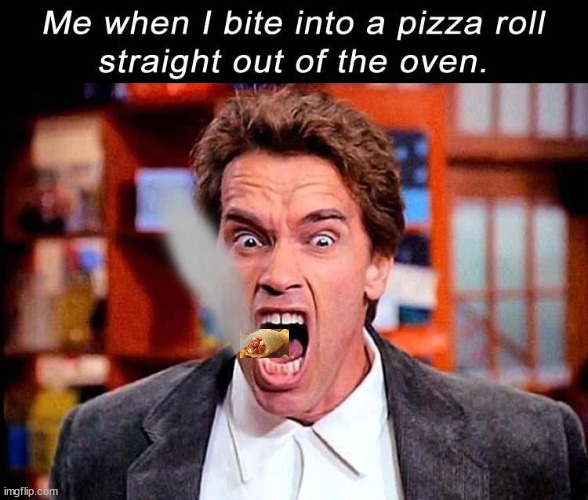 So hot right now | image tagged in pizza rolls,so hot right now | made w/ Imgflip meme maker