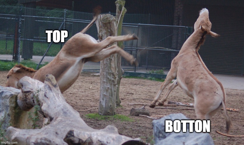 Kick Back | TOP; BOTTON | image tagged in kick back | made w/ Imgflip meme maker