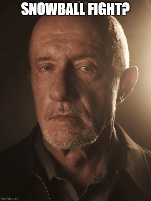 Mike Ehrmantraut | SNOWBALL FIGHT? | image tagged in mike ehrmantraut | made w/ Imgflip meme maker