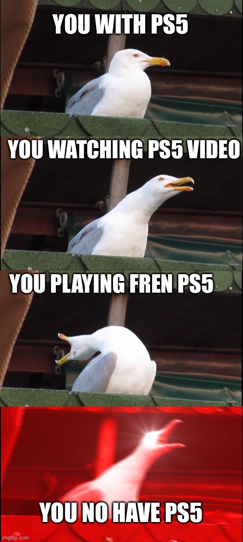 Ps5 | YOU WITH PS5; YOU WATCHING PS5 VIDEO; YOU PLAYING FREN PS5; YOU NO HAVE PS5 | image tagged in memes,inhaling seagull | made w/ Imgflip meme maker