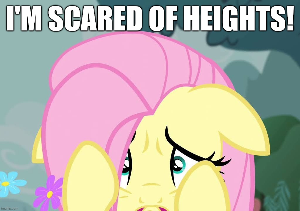 I'M SCARED OF HEIGHTS! | made w/ Imgflip meme maker