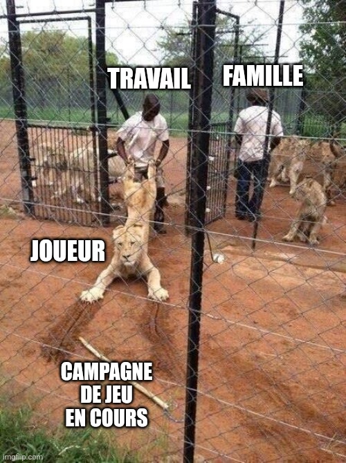 Dragging a Lion | FAMILLE; TRAVAIL; JOUEUR; CAMPAGNE DE JEU EN COURS | image tagged in dragging a lion | made w/ Imgflip meme maker