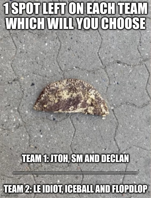 Forbidden Choco Taco | 1 SPOT LEFT ON EACH TEAM
WHICH WILL YOU CHOOSE; TEAM 1: JTOH, SM AND DECLAN
________________________
 
TEAM 2: LE IDIOT, ICEBALL AND FLOPDLOP | image tagged in forbidden choco taco | made w/ Imgflip meme maker