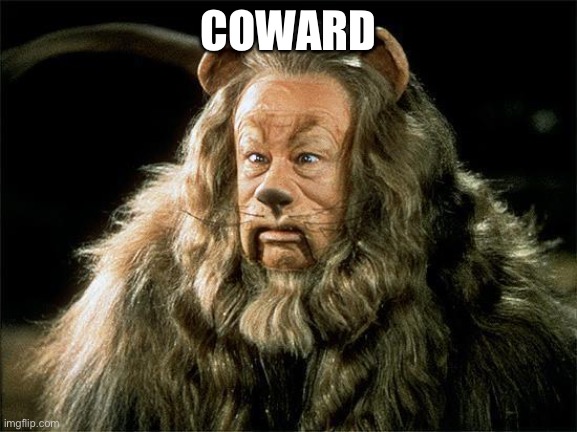 cowardly lion | COWARD | image tagged in cowardly lion | made w/ Imgflip meme maker