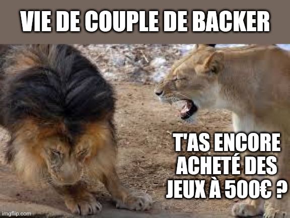 lion yelling | VIE DE COUPLE DE BACKER; T'AS ENCORE ACHETÉ DES JEUX À 500€ ? | image tagged in lion yelling | made w/ Imgflip meme maker