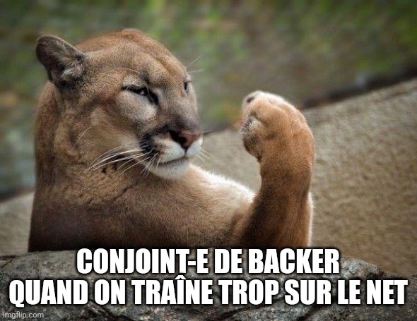 lioness | CONJOINT-E DE BACKER QUAND ON TRAÎNE TROP SUR LE NET | image tagged in lioness | made w/ Imgflip meme maker
