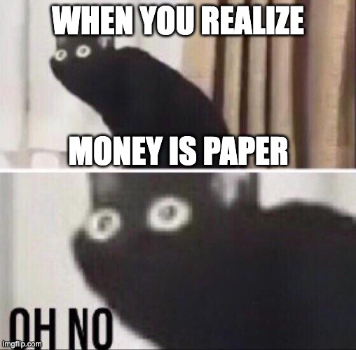 [Insert title] | WHEN YOU REALIZE; MONEY IS PAPER | image tagged in oh no cat,money,memes,fun,cat,oh no | made w/ Imgflip meme maker