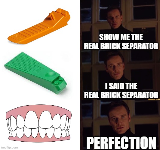 Teeth: nature's Lego brick separators | SHOW ME THE REAL BRICK SEPARATOR; I SAID THE REAL BRICK SEPARATOR; PERFECTION | image tagged in perfection,lego,legos | made w/ Imgflip meme maker