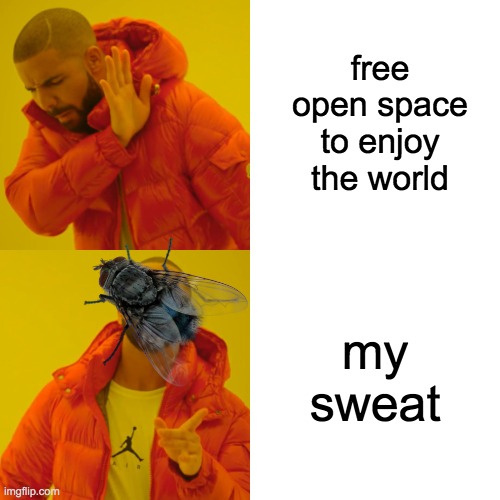 Drake Hotline Bling | free open space to enjoy the world; my sweat | image tagged in memes,drake hotline bling | made w/ Imgflip meme maker