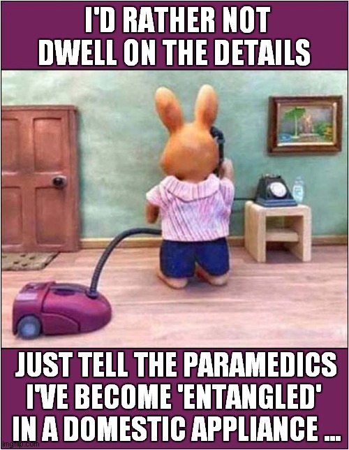 Hello, Is That The Emergency Services ? | I'D RATHER NOT DWELL ON THE DETAILS; JUST TELL THE PARAMEDICS
I'VE BECOME 'ENTANGLED'
 IN A DOMESTIC APPLIANCE ... | image tagged in embarrassing,phone call,dark humour | made w/ Imgflip meme maker