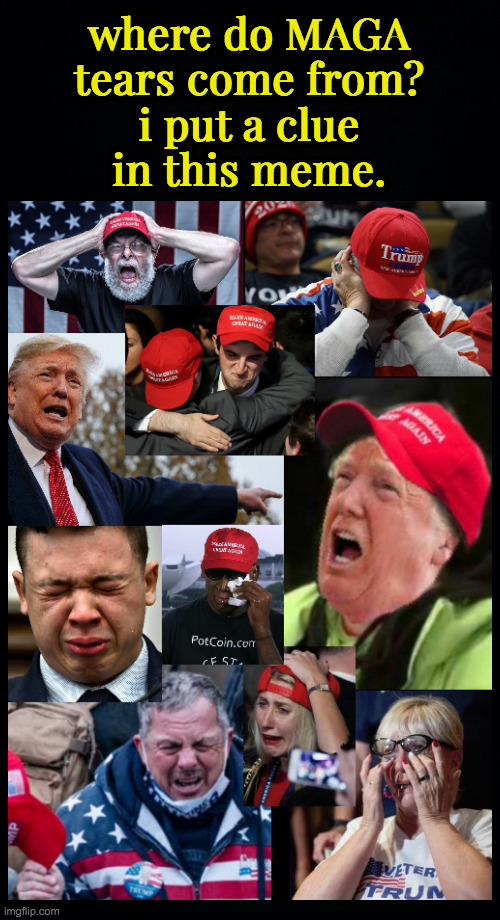 Money is the root of all weasels. | where do MAGA
tears come from?
i put a clue
in this meme. | image tagged in memes,maga tears,trump weasel | made w/ Imgflip meme maker