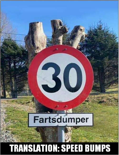 You've Got To Love The Norwegians ! |  TRANSLATION: SPEED BUMPS | image tagged in fun,norway,signs,translation | made w/ Imgflip meme maker