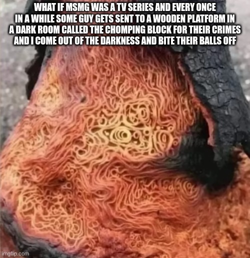 Spicy Noodle Tree | WHAT IF MSMG WAS A TV SERIES AND EVERY ONCE IN A WHILE SOME GUY GETS SENT TO A WOODEN PLATFORM IN A DARK ROOM CALLED THE CHOMPING BLOCK FOR THEIR CRIMES
AND I COME OUT OF THE DARKNESS AND BITE THEIR BALLS OFF | image tagged in spicy noodle tree | made w/ Imgflip meme maker