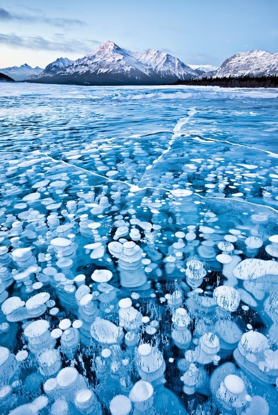 image tagged in nature,photography