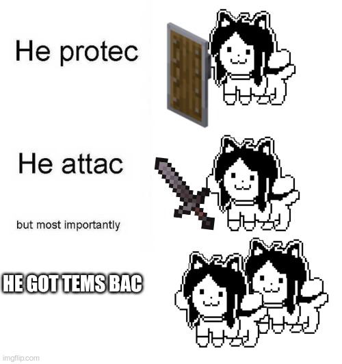 He protec he attac but most importantly | HE GOT TEMS BAC | image tagged in he protec he attac but most importantly | made w/ Imgflip meme maker