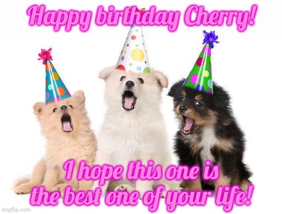 I hope you have a great birthday Cherry! | Happy birthday Cherry! I hope this one is the best one of your life! | image tagged in happy birthday puppies | made w/ Imgflip meme maker