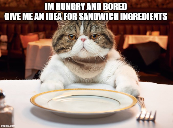 hungry cat | IM HUNGRY AND BORED 
GIVE ME AN IDEA FOR SANDWICH INGREDIENTS | image tagged in hungry cat | made w/ Imgflip meme maker