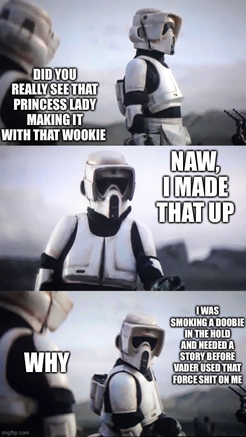 Storm Trooper Conversation | DID YOU REALLY SEE THAT PRINCESS LADY MAKING IT WITH THAT WOOKIE; NAW, I MADE THAT UP; I WAS SMOKING A DOOBIE IN THE HOLD AND NEEDED A STORY BEFORE VADER USED THAT FORCE SHIT ON ME; WHY | image tagged in storm trooper conversation | made w/ Imgflip meme maker