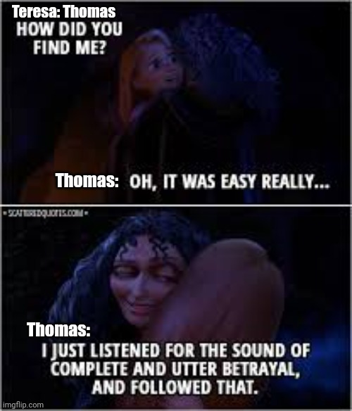 Hm. Yes. That's how I found James Dashner. | Teresa: Thomas; Thomas:; Thomas: | image tagged in i just followed the song of complete and utter betrayal,maze runner | made w/ Imgflip meme maker