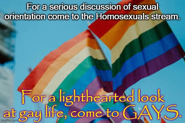 Links in comment. | For a serious discussion of sexual orientation come to the Homosexuals stream. For a lighthearted look at gay life, come to GAYS. | image tagged in gay pride flags,lgbt,imgflip community | made w/ Imgflip meme maker
