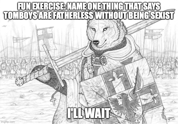 males especially, since the most extreme tomboys are basically girls wearing male clothing and we consider that "normal" | FUN EXERCISE: NAME ONE THING THAT SAYS TOMBOYS ARE FATHERLESS WITHOUT BEING SEXIST; I'LL WAIT | image tagged in fursader | made w/ Imgflip meme maker
