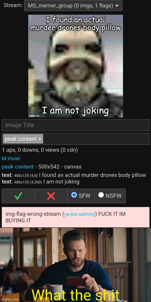 What the shit | made w/ Imgflip meme maker