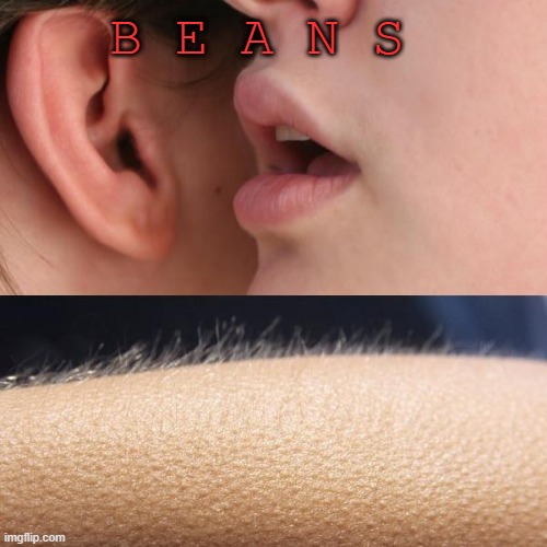 Whisper and Goosebumps | B E A N S | image tagged in whisper and goosebumps,beans,why are you reading this | made w/ Imgflip meme maker