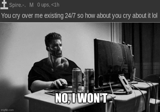 Cry about it, Spire. | NO, I WON'T | made w/ Imgflip meme maker